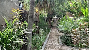A narrow pathway flanked by lush tropical plants and a concrete wall. - Gili Welldone Guesthouse (Gili Trawangan)