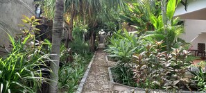 Garden - Gili Welldone Guesthouse (Gili Trawangan)