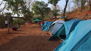 Un terrain de camping avec plusieurs tentes, un hamac et un espace de repos abrité.