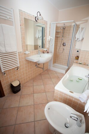 Shower, hair dryer, bidet, towels