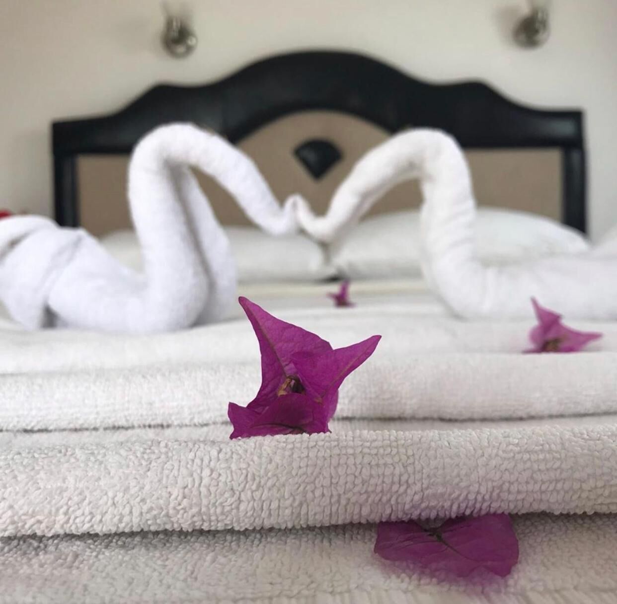 in-room safe, free wifi, bed sheets