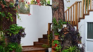 Un escalier en bois, agrémenté de plantes en pot de chaque côté, mène à une porte blanche.