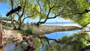 A beach scene with a clear water body, trees, and a sandy shore. - Melsted Badehotel  (Gudhjem)