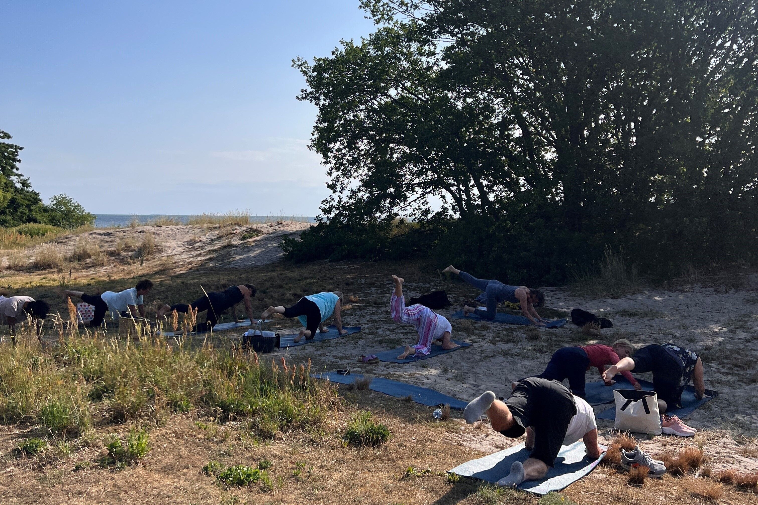 A group of people performing yoga on mats in an outdoor setting with a beach and trees in the background.