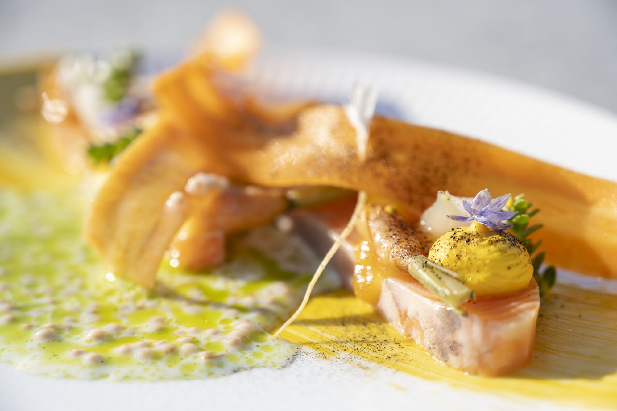 A dish with salmon, a yellow sauce, and a green garnish.