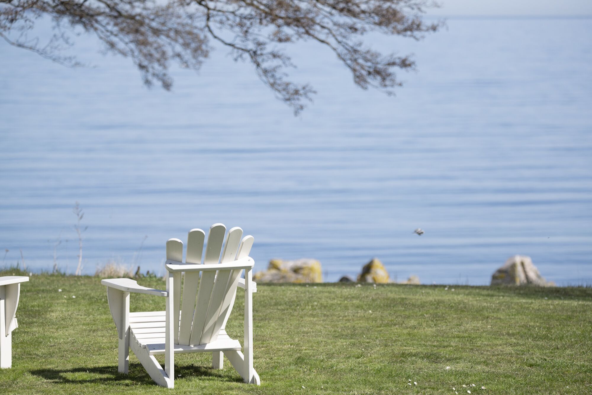 Una silla Adirondack blanca en un área verde junto a un lago, con rocas al fondo.