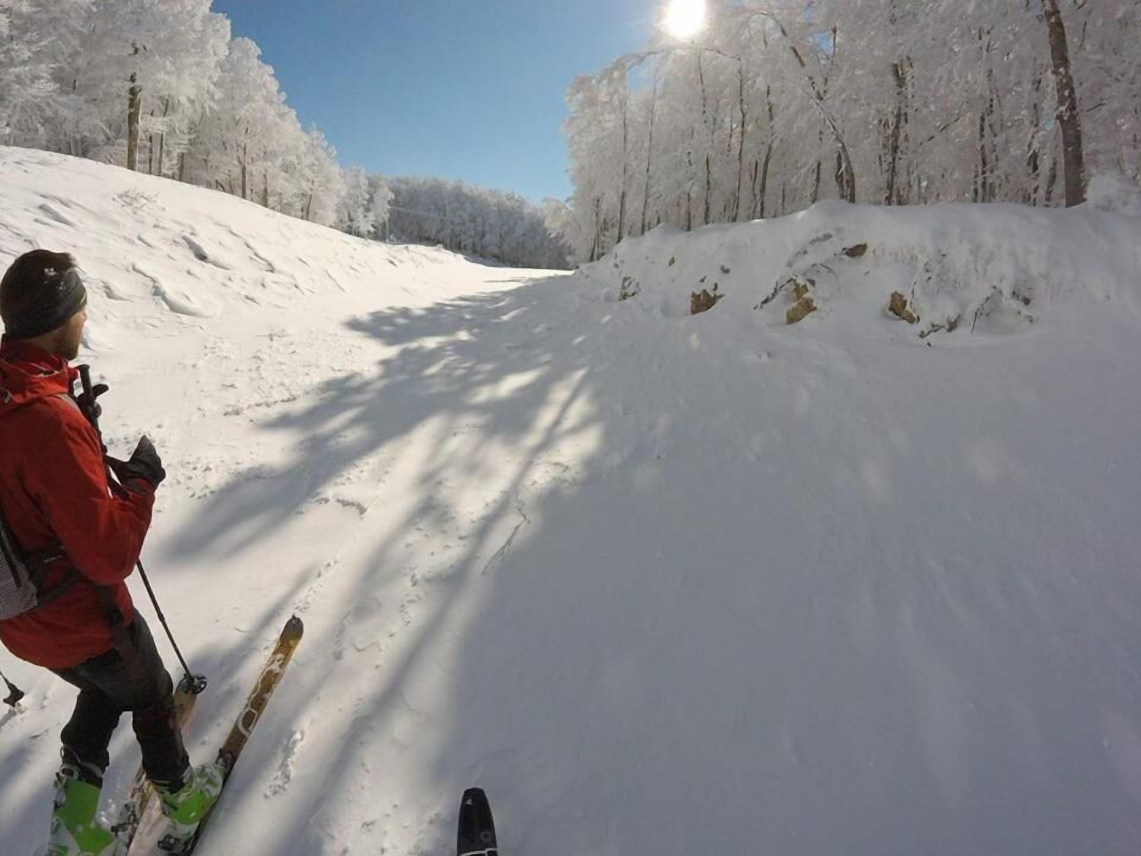A snowy ski slope with trees in the background.