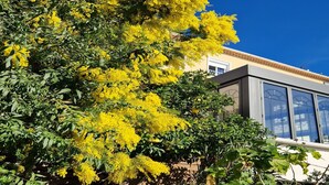 Un edificio con ventanas amplias y un árbol con flores amarillas al frente.
