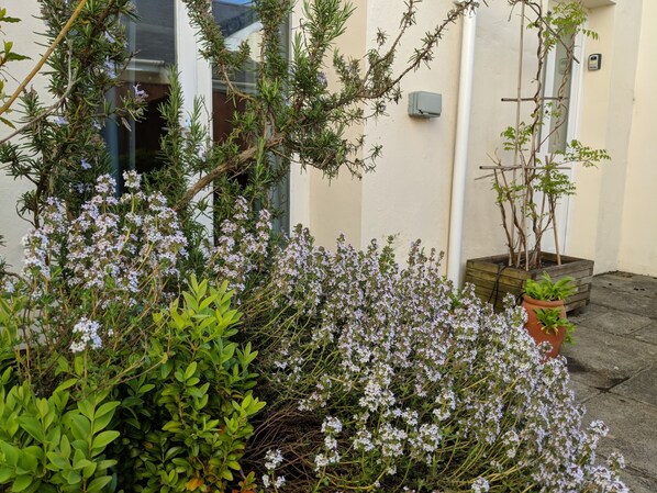 Property grounds - Weirholme Annex (Barnstaple)