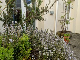 Área da propriedade