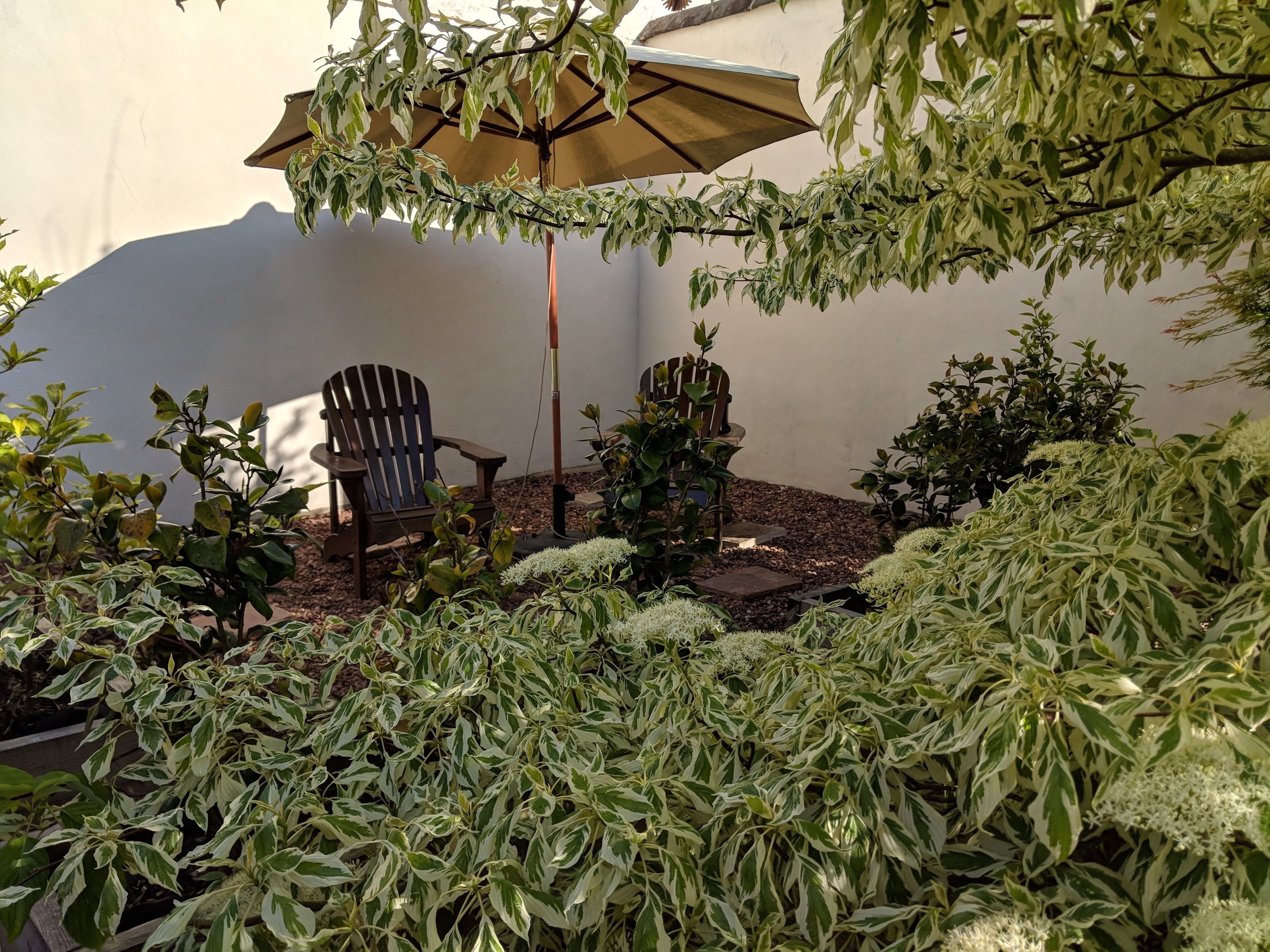 Ein Terrassenbereich mit zwei Adirondack-Stühlen, einer Pergola mit Dach und verschiedenen Kübelpflanzen.