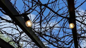 Une structure aux branches nues, sur laquelle sont suspendues deux luminaires, le tout se détachant sur un ciel dégagé.