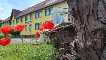 A building with a yellow facade and green window frames, surrounded by red poppies and a tree trunk.