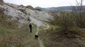 A person walking a dog on a dirt path surrounded by grassy terrain and sparse vegetation.