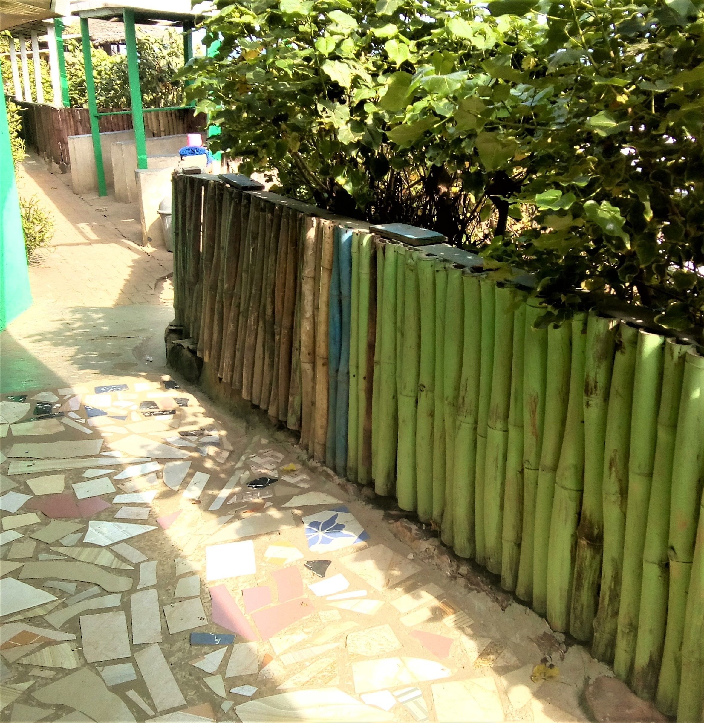 Photo - Rising Phoenix