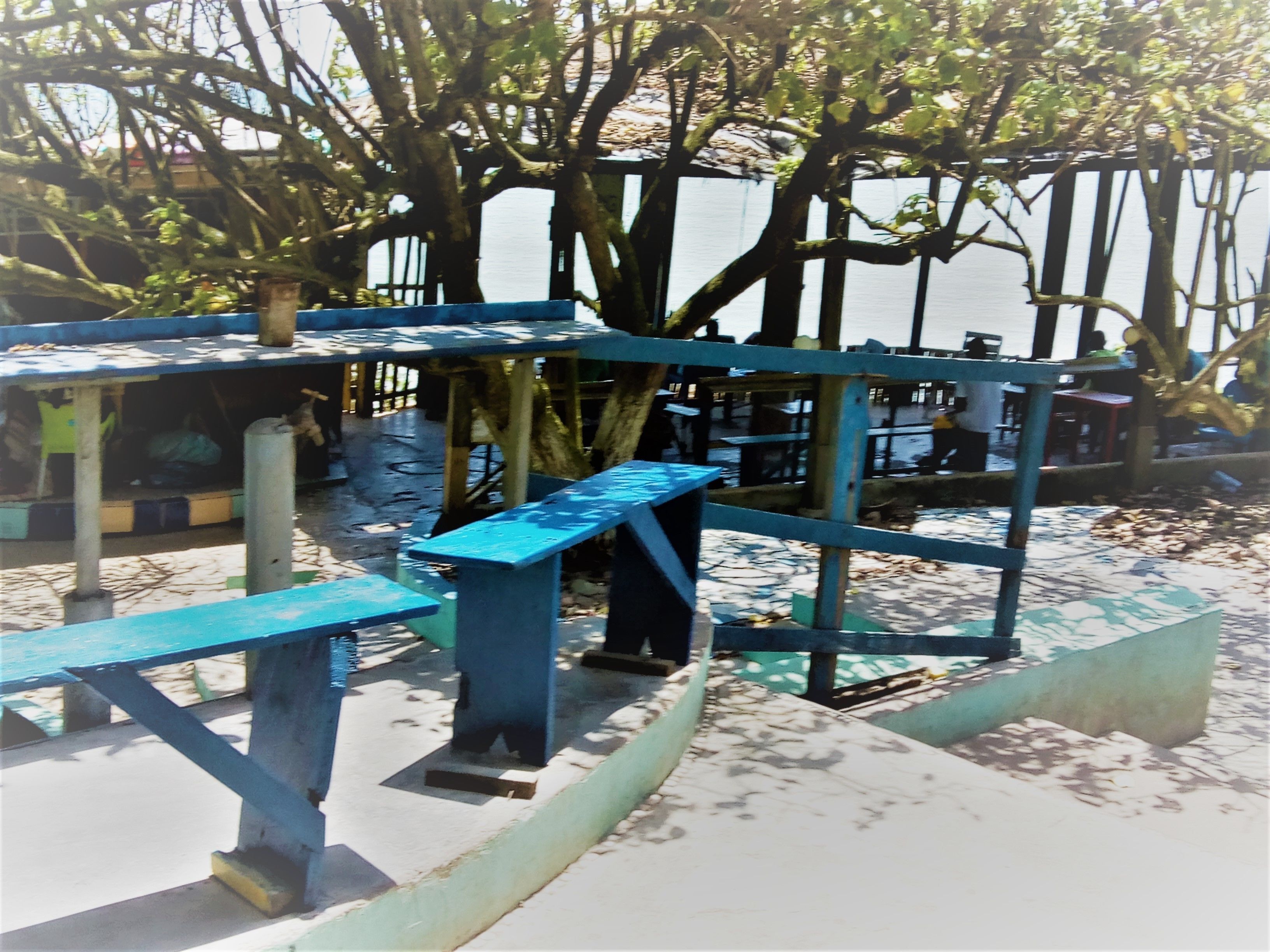 Photo - Rising Phoenix