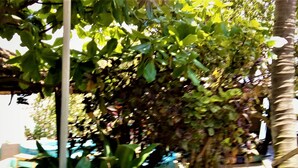 A garden area with dense foliage and a palm tree. - Rising Phoenix Magic Beach Resort (Accra)