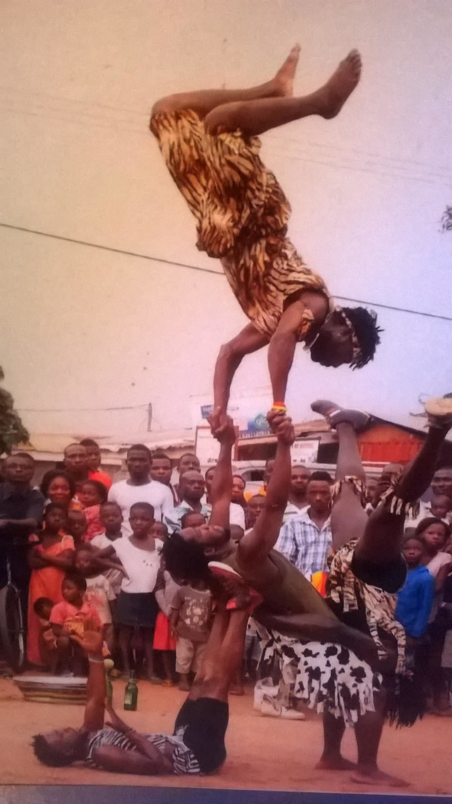 Photo - Rising Phoenix