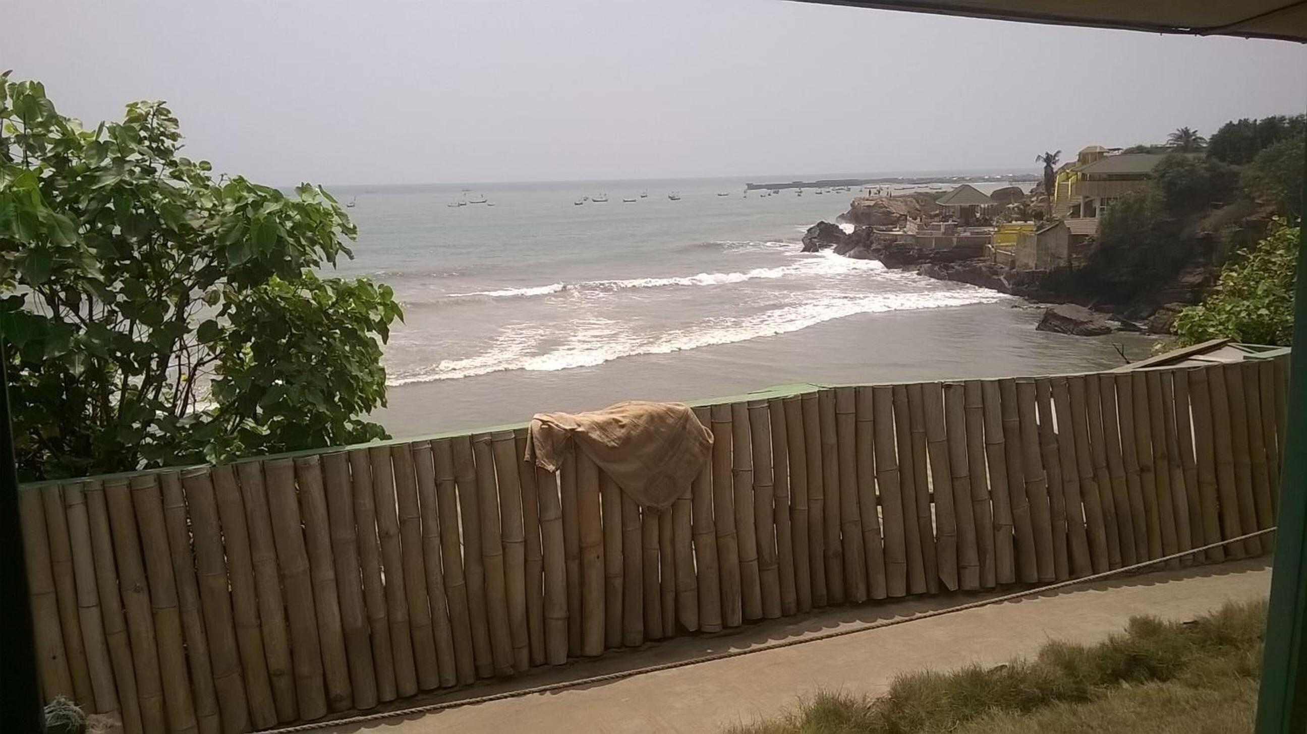 Photo - Rising Phoenix