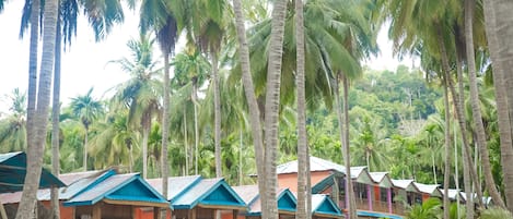 A row of single-story buildings with blue roofs, surrounded by palm trees.