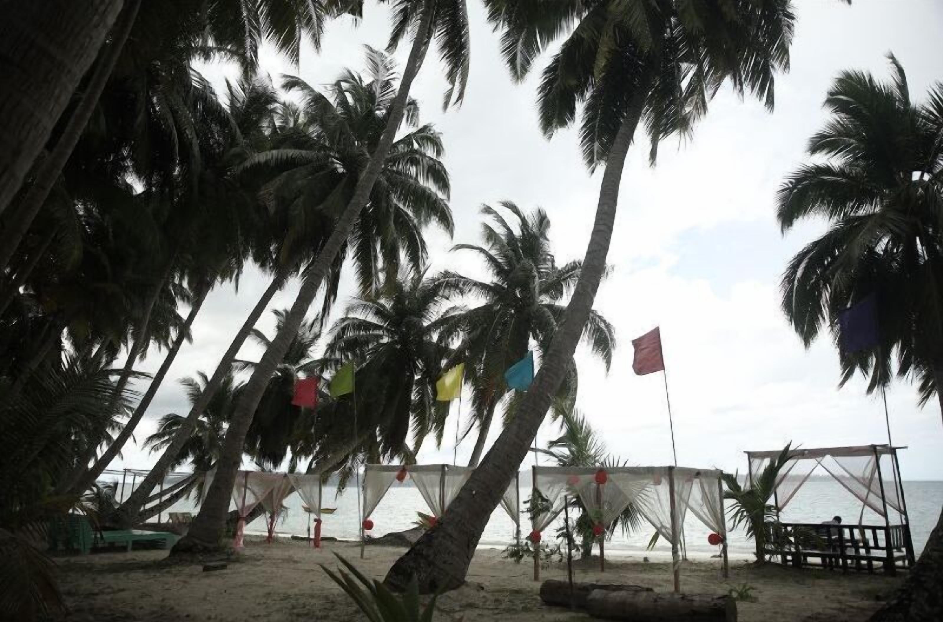 Une plage bordée de palmiers, un abri de plage et une tente.