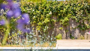 Outdoor pool - Maison Bista Eder (Bidart)