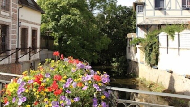View from property - Hotel du Cygne (L'Aigle)