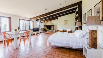 Apartment (Open Space) | Down comforters, iron/ironing board, free WiFi, bed sheets