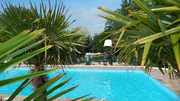 Una piscina rodeada de palmeras y una cancha de baloncesto.