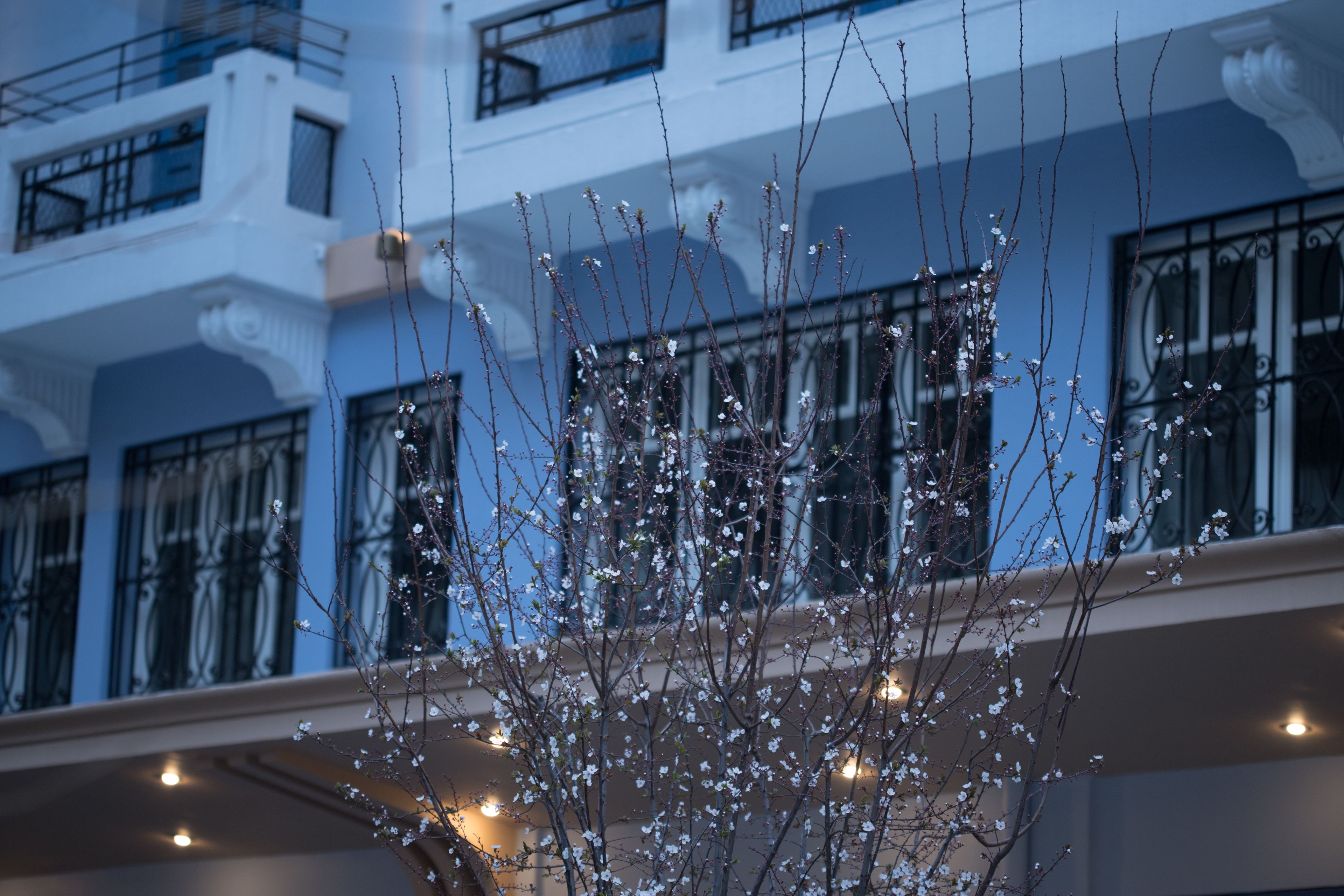 Foto - Bahar Boutique Hotel