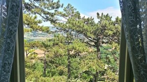 A window view of a landscape with trees and a grassy area. - Il Castellaro Country House (Perugia)