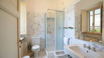 A bathroom with a toilet, bidet, glass shower enclosure, and a sink with a mirror.