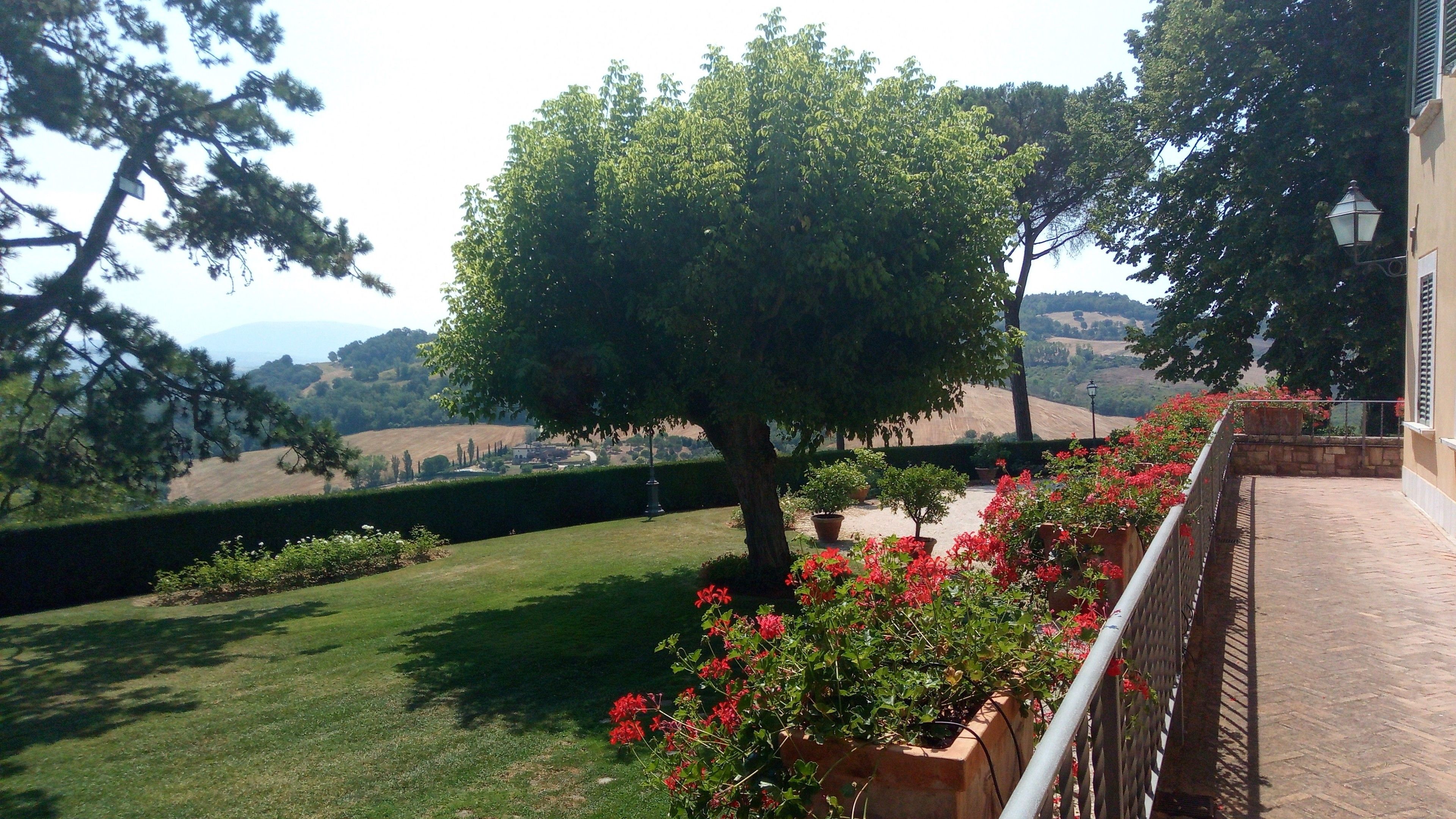 A landscaped garden with a tree, potted plants, and a view of the countryside.