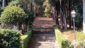 A stone staircase surrounded by trees and greenery, leading up a hill. - Il Castellaro Country House (Perugia)