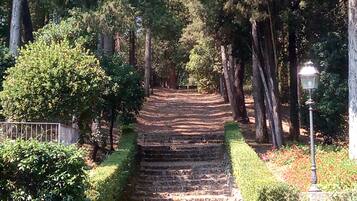 Vista dalla struttura