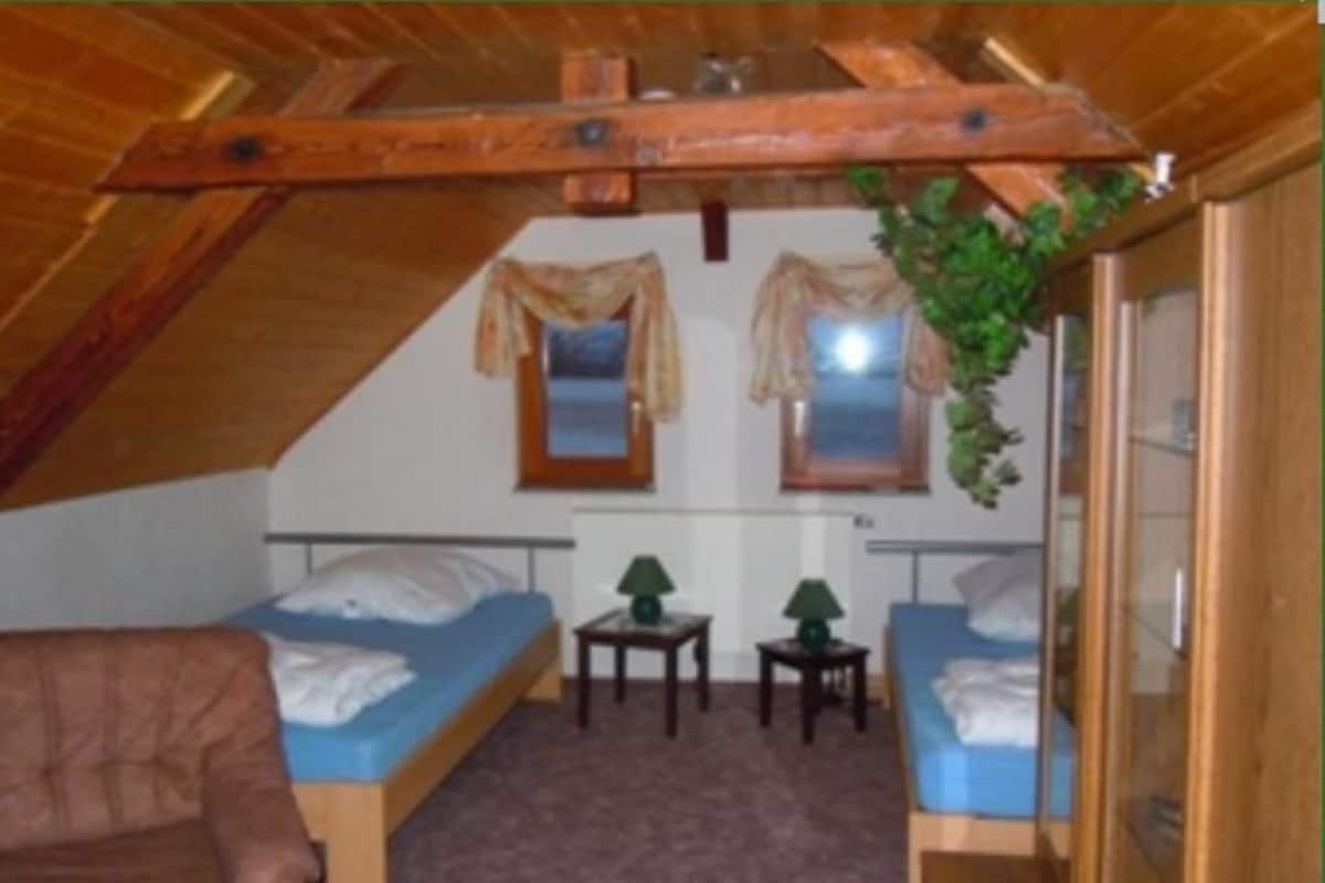 Une petite chambre agréable, dotée de deux lits simples, d’un plafond en bois et d’une fenêtre offrant une belle vue.