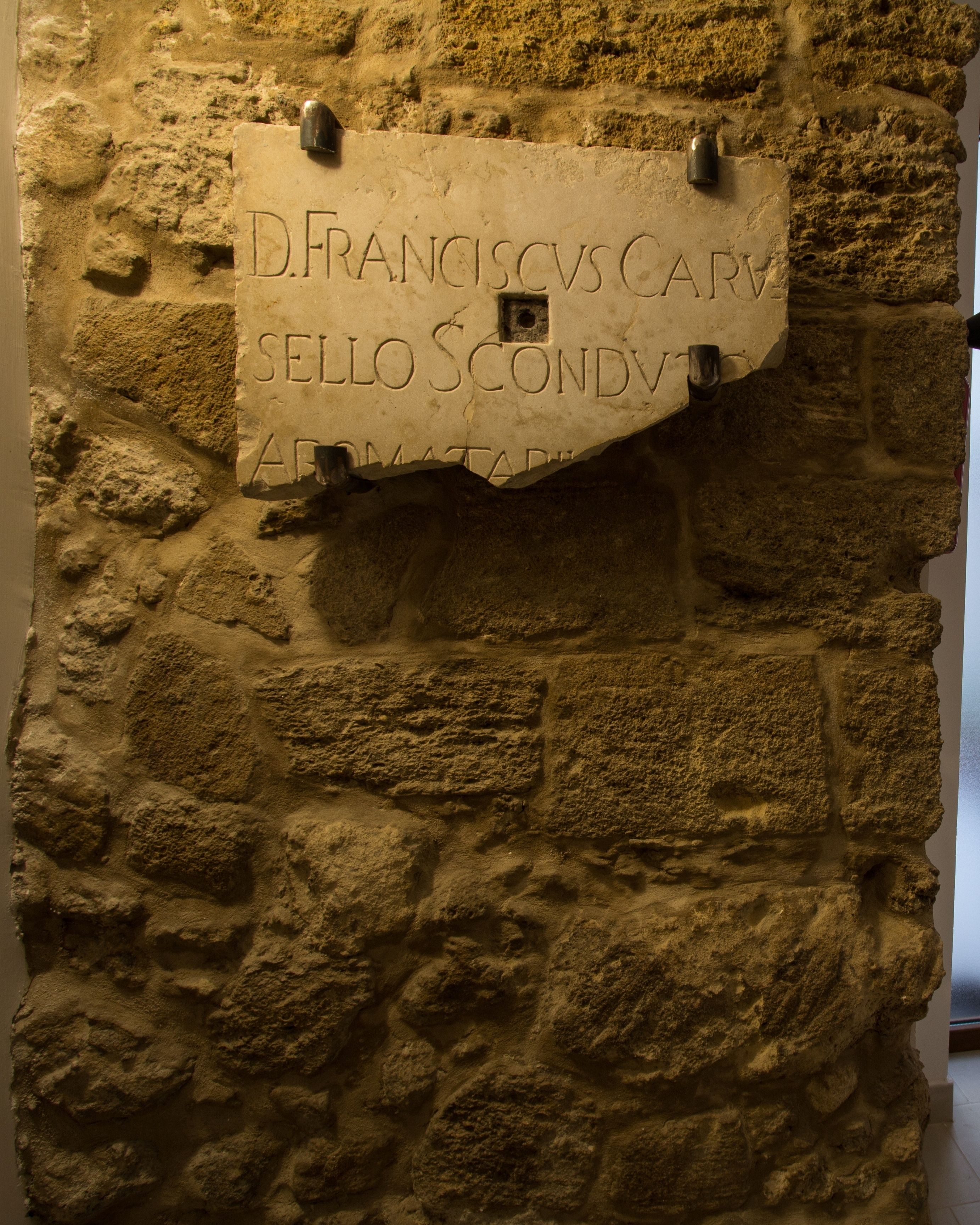 Un muro de piedra con una placa que dice "D. Franciscvs Carv Sello Scondv Armatadip".