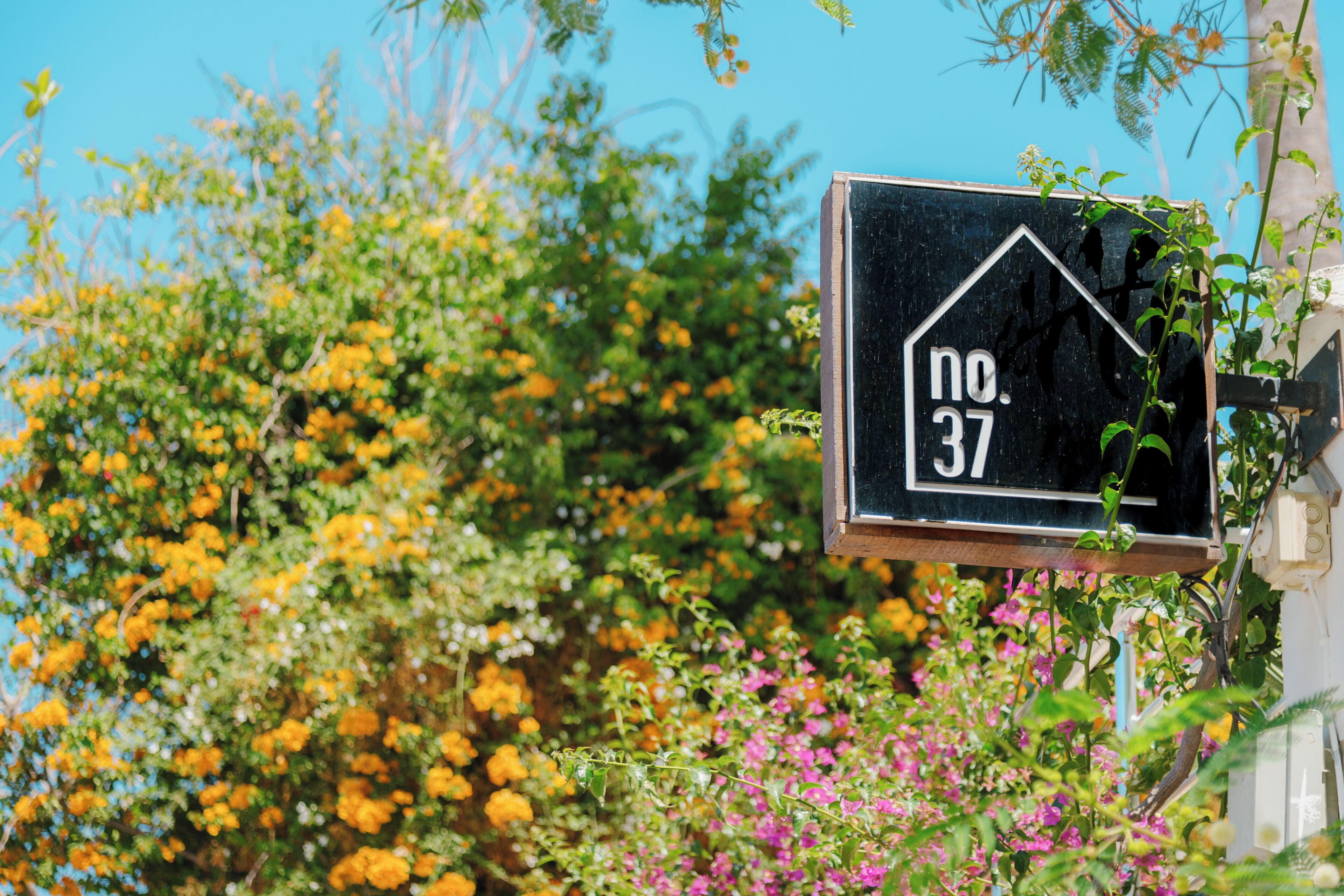 A sign with the number 37, indicating a specific location or property.