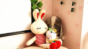 Un lapin en peluche et un jouet pour chien sont posés sur une table en bois, devant un mur orné de motifs en forme de cœur, et le mot « AMOUR » est suspendu au mur.
