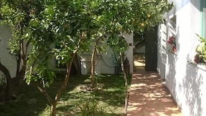 A narrow pathway leading to a white building with a small garden area. - Sardinia International House (Zeddiani)