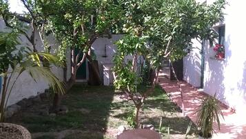 Jardim