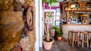 A rustic interior with a stone wall, a wooden bar area, and potted plants. - El Asturiano (Tarifa)