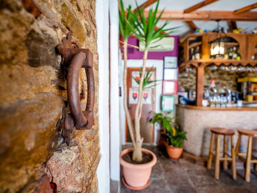 A rustic interior with a stone wall, a wooden bar area, and potted plants.