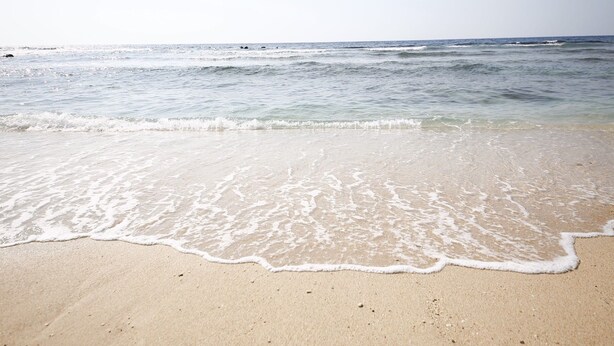 Une plage aux vagues douces et au ciel dégagé.
