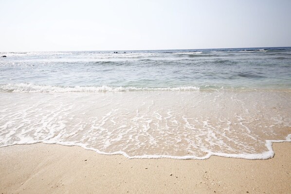 Udsigt fra overnatningsstedet