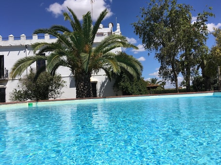 Outdoor pool, sun loungers