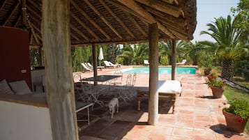 Outdoor pool, sun loungers