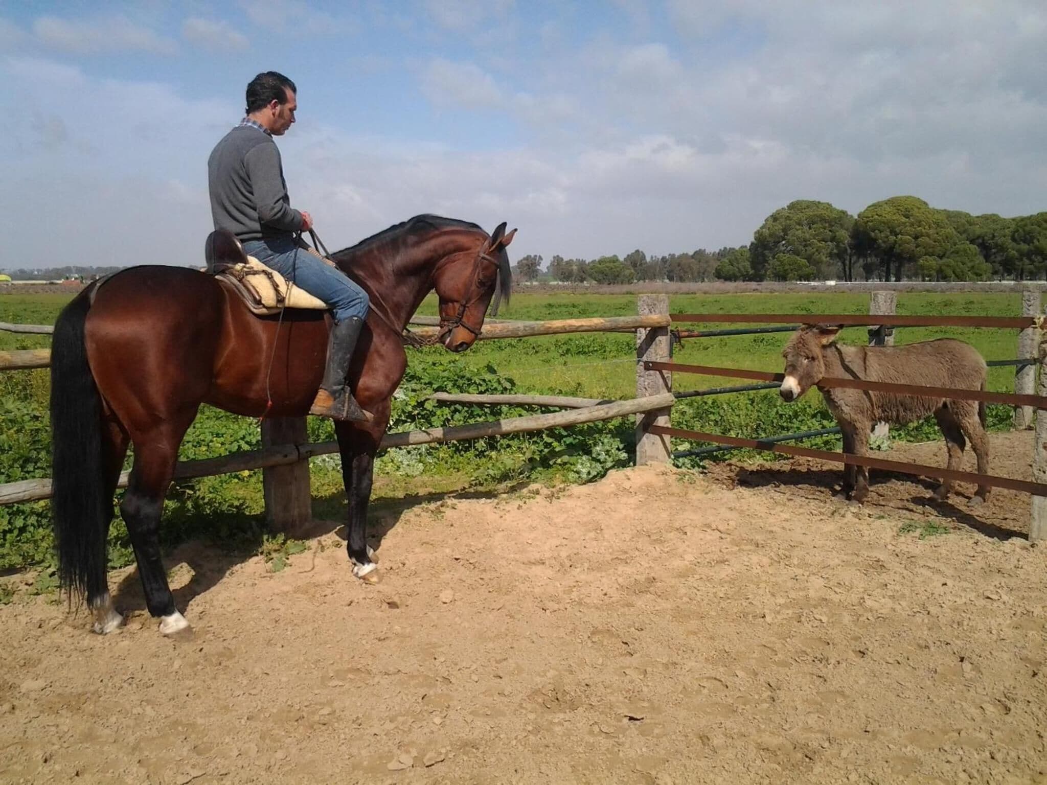 Foto - Hacienda La Indiana