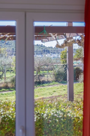 A view through a window with a white frame, a hanging clothesline, and a landscape of greenery and trees.