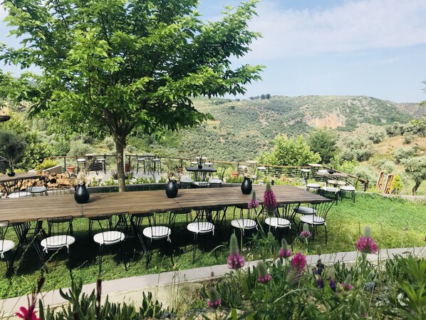 Giardino